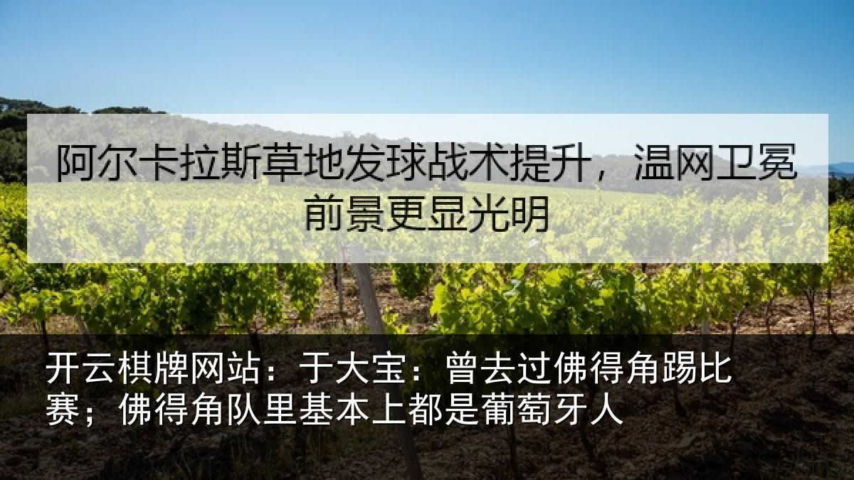 开云棋牌网站:于大宝:曾去相关情况得角相关情况萄牙人