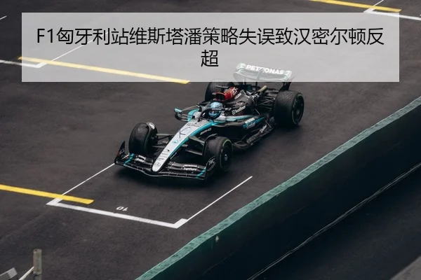 xiong-ya-li-zhan-wei-si-ta-pan-ce-lve-shi-wu-zhi-han-mi-er-dun-fan-chao-3-322.jpg
