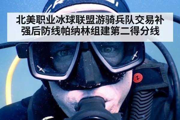 北美职业冰球联盟游骑兵队交易补强后防线帕纳林组建第二得分线